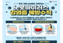질병청, 노로바이러스·호흡기감염병 비상방역체제 운영
