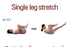 허리디스크에 좋은 필라테스 동작들