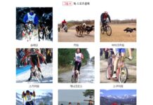 반려인과 반려견의 공감통로 ‘스포츠’