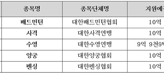배드민턴 등 ‘전략종목’ 5개 선정…단체당 연 최대 10억 원 지원