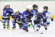 올해 유·청소년 클럽리그 지원 ‘아이스하키’ 포함…동계종목 처음