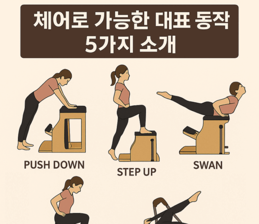 체어로 가능한 대표 동작 5가지 소개