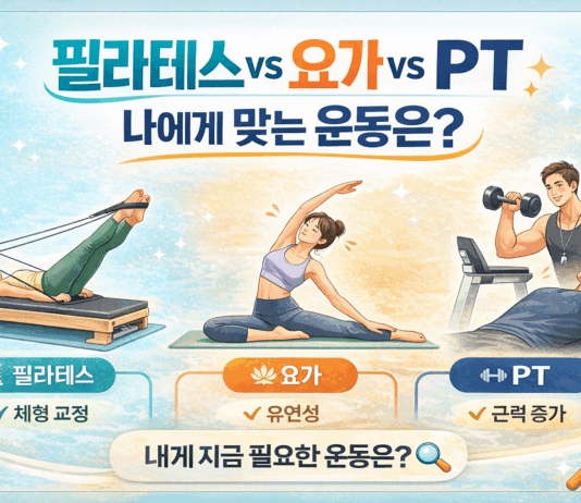 필라테스 vs 요가 vs PT