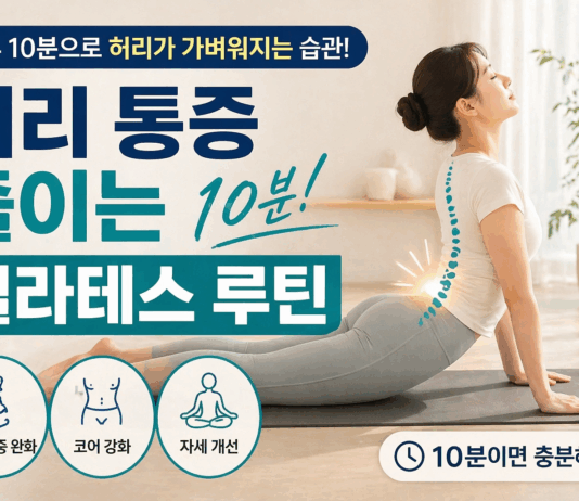 허리 통증 줄이는 10분 필라테스 루틴