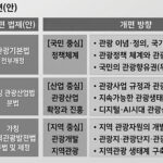 “지방공항이 곧 여행 시작점”…정부, 관광 동선 새 판 짠다